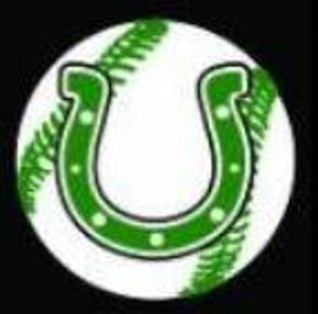 Cloverleaf Youth Baseball League