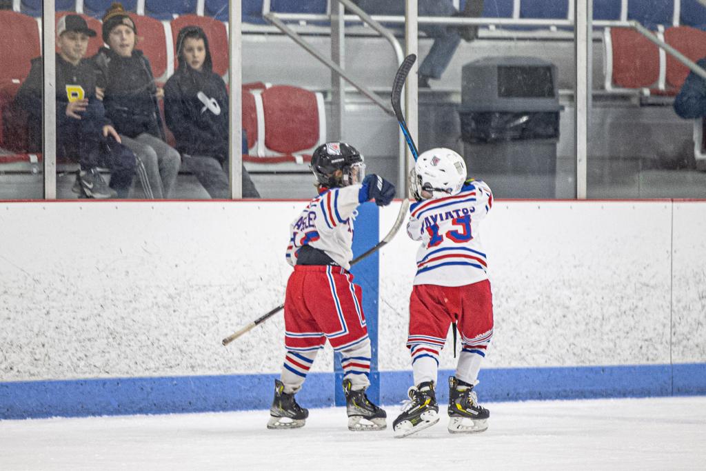Springfield Rangers Hockey
