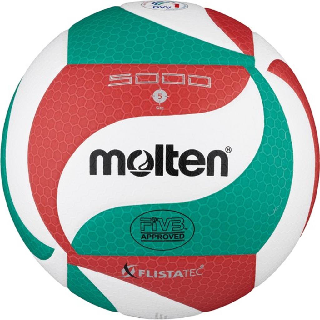 Molten Volleyballs