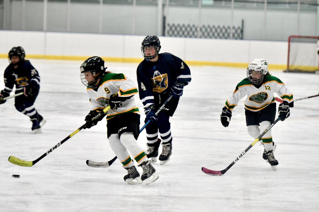 | Photos | Mounds View Irondale Youth Hockey Association