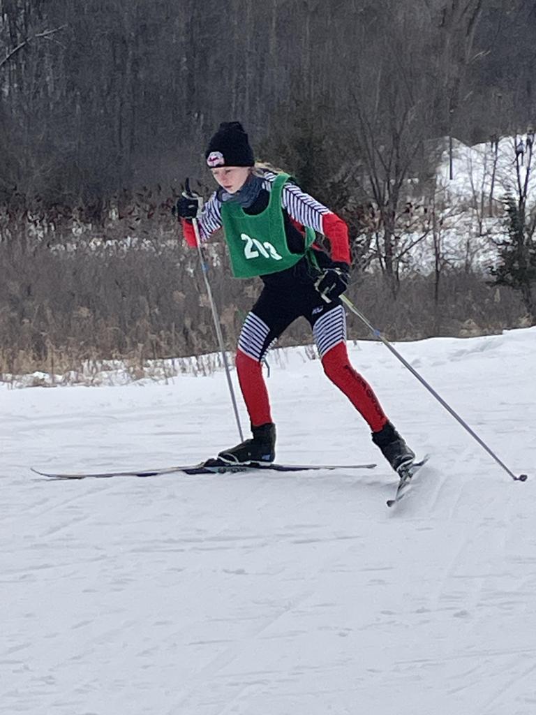 Nordic skier