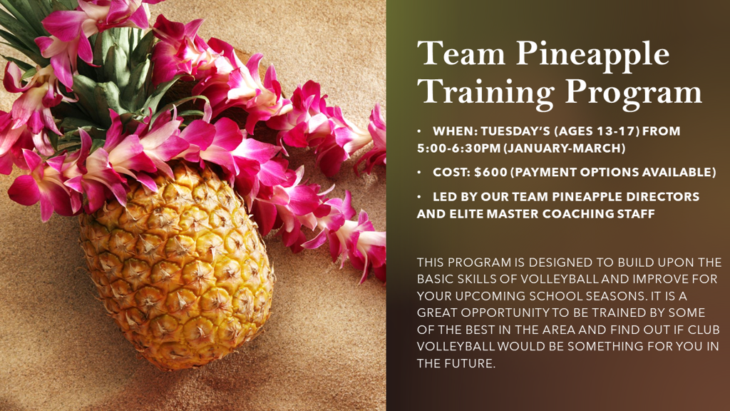 2024 TP Training Program Team Pineapple Volleyball Club