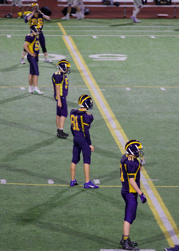 Bellevue Freshmen Wolverines
