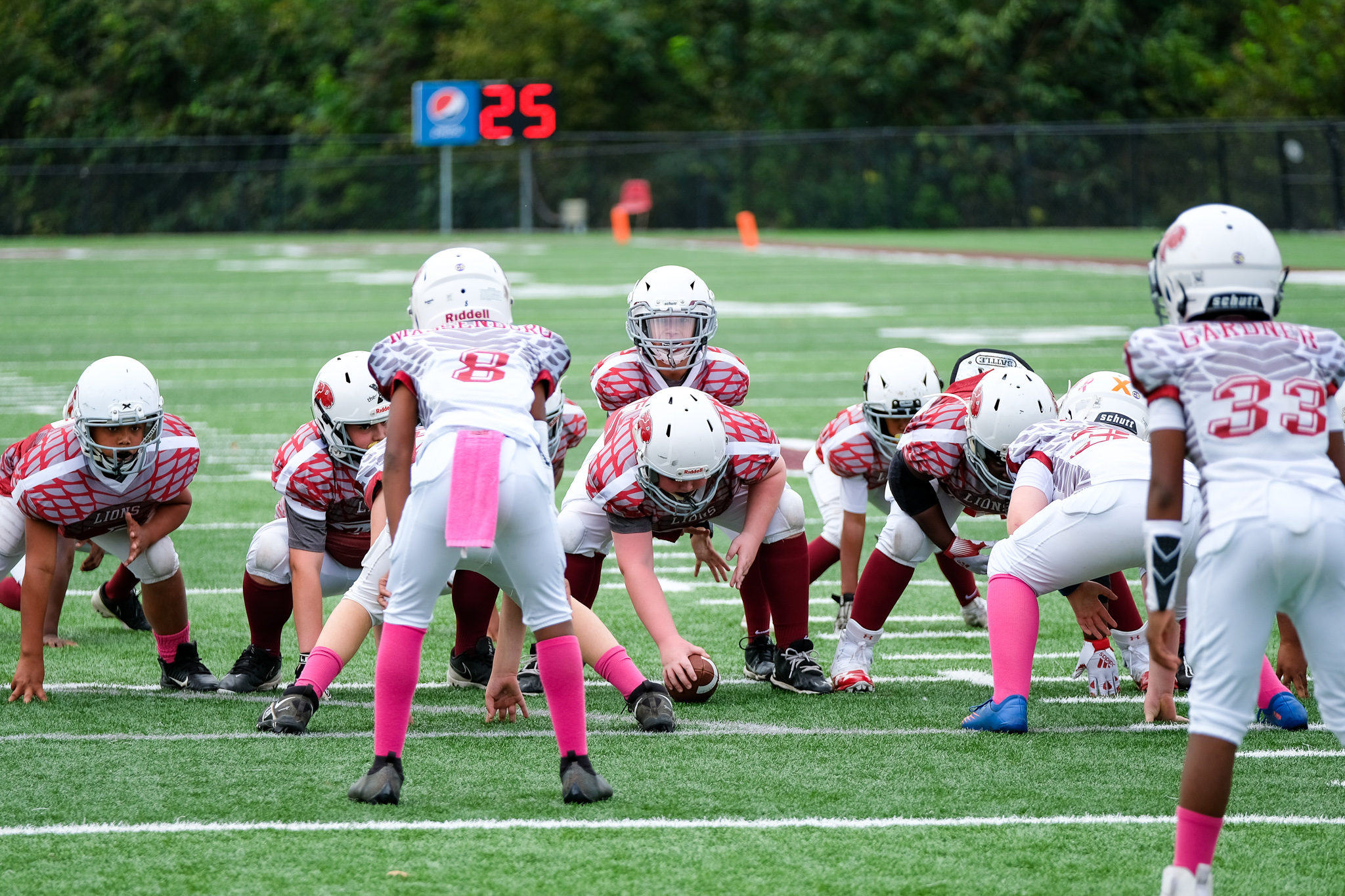 Prattville Youth Lions Football and Cheer