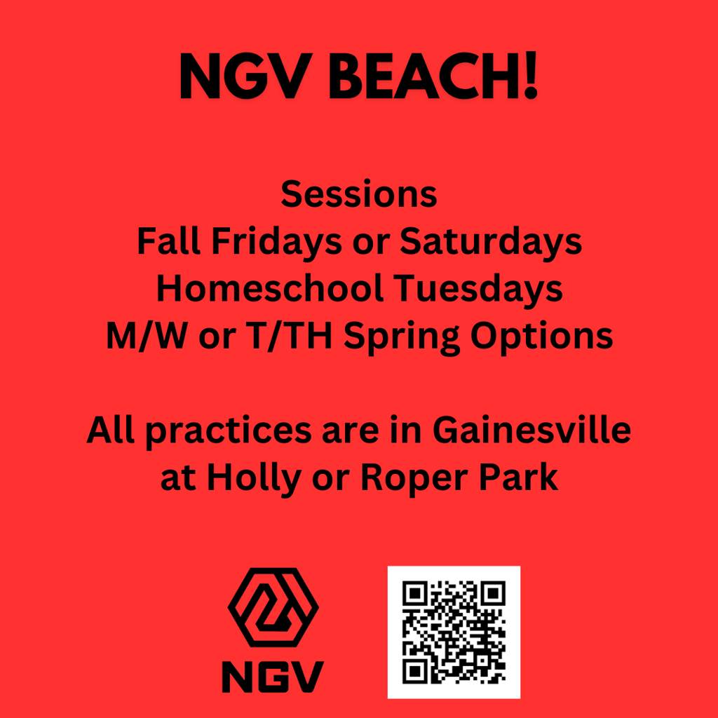 North Georgia Volleyball Beach Program Options!