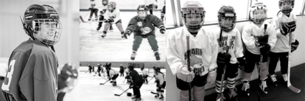 Shoreline Sharks Learn to Play Hockey Clinic for girls 4 - 19