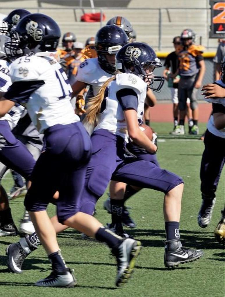Santa Clarita Wildcats