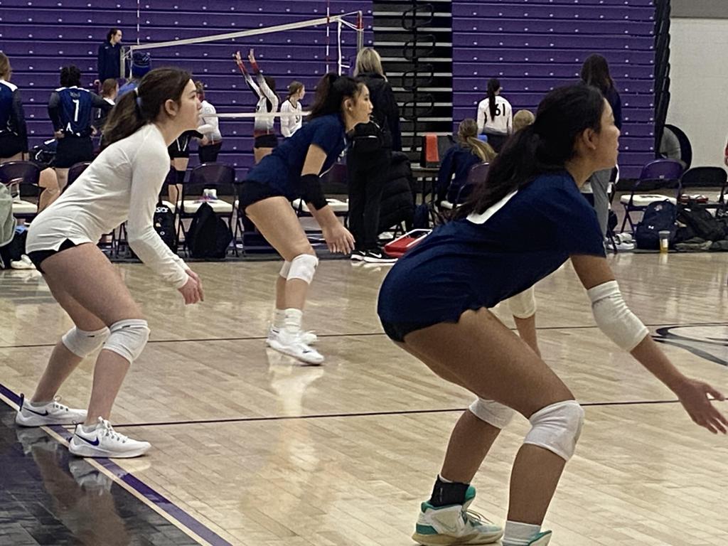  Photos Starlings Volleyball, USA