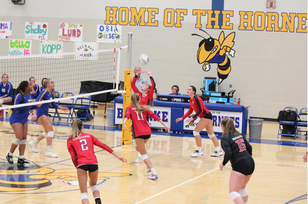White Hawks Volleyball Opens Season