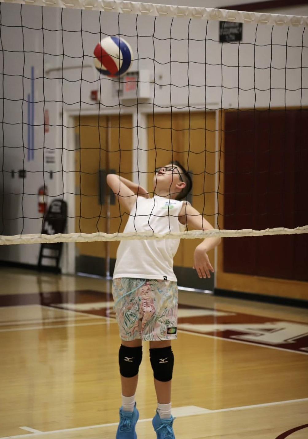 next-level-volleyball-academy