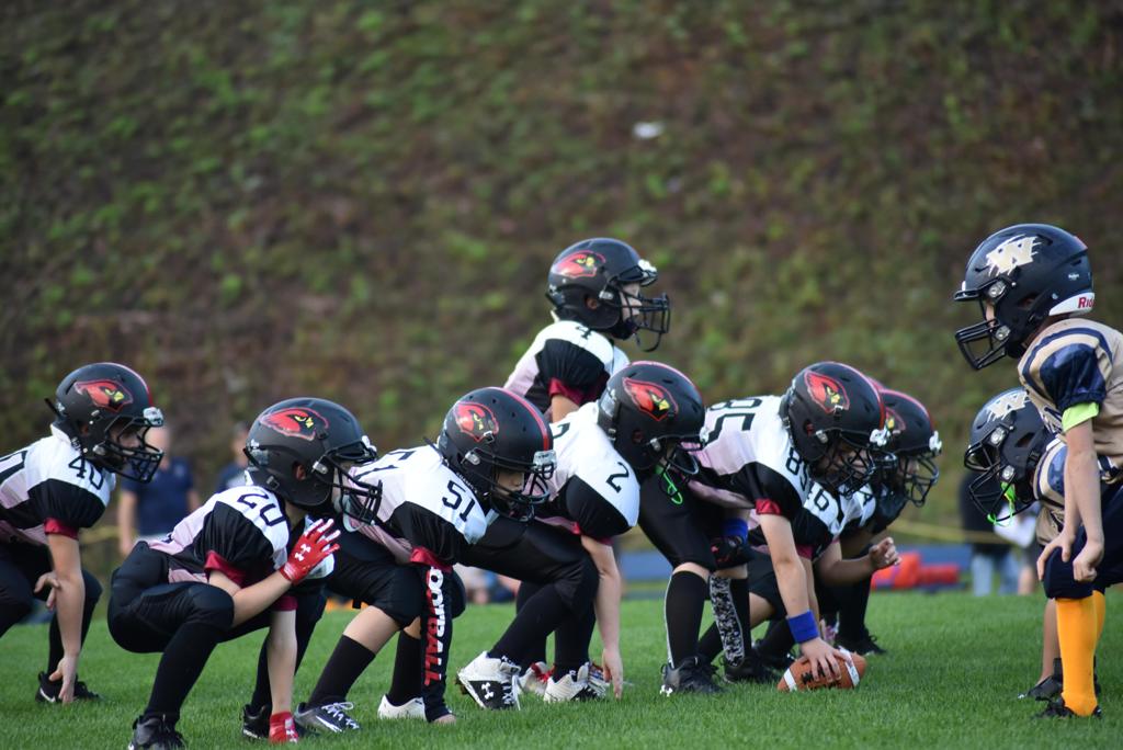 cardinals-football