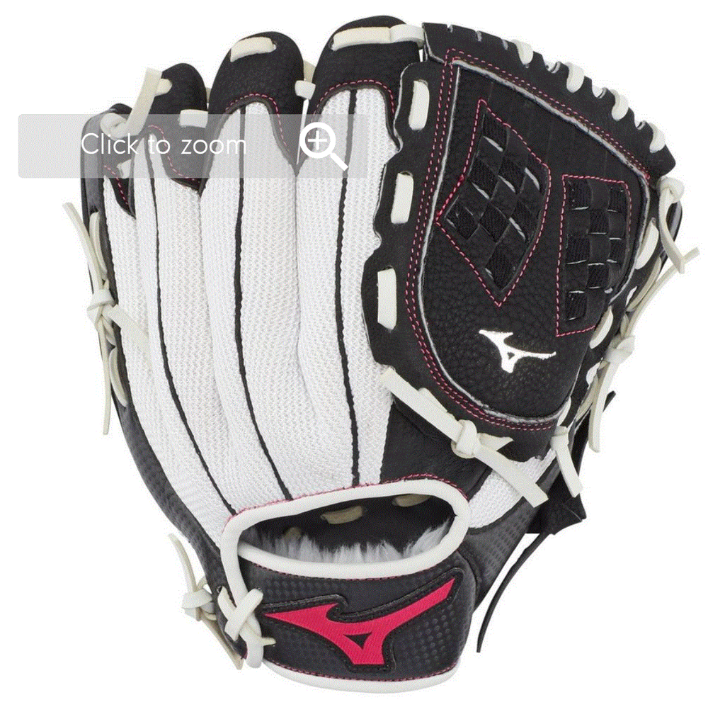Fastpitch Softball Equipment