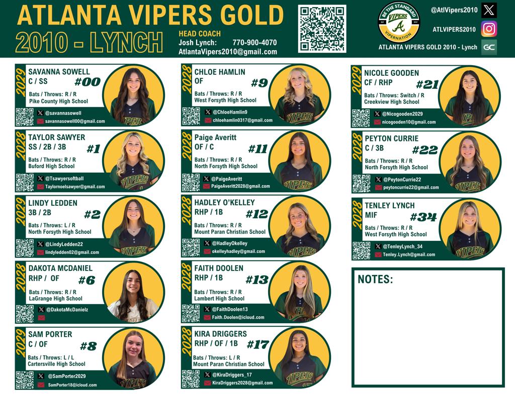 Atlanta Vipers Gold 2010 Lynch Team Flyer