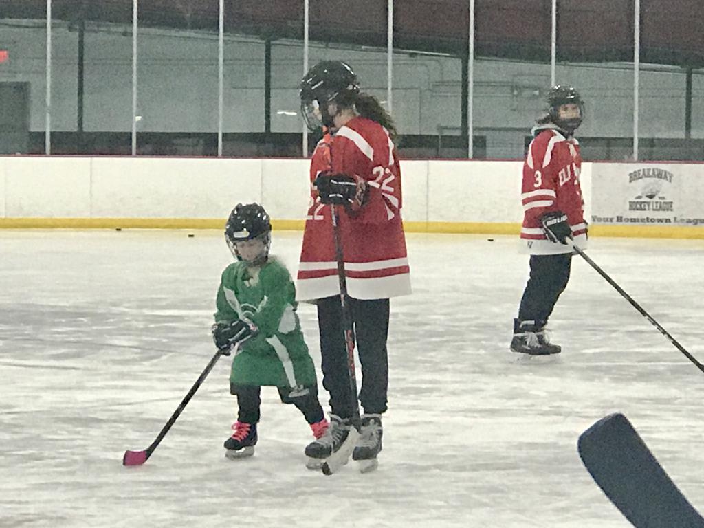 20192020 Season Photos Elk River Youth Hockey Association