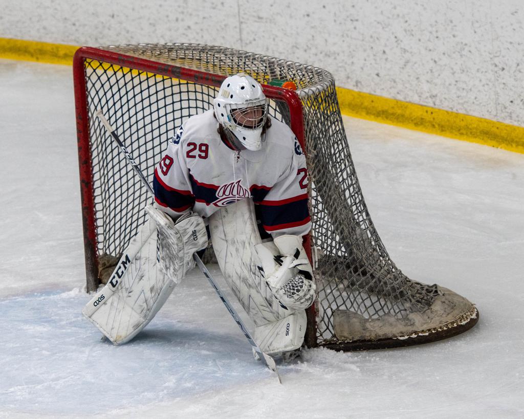 Chaparral/Team Parker Hockey