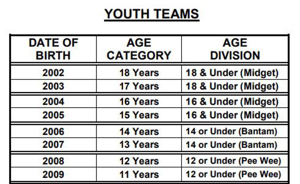 Usa Hockey Age Groups 2024 24 Ricca Miofmela
