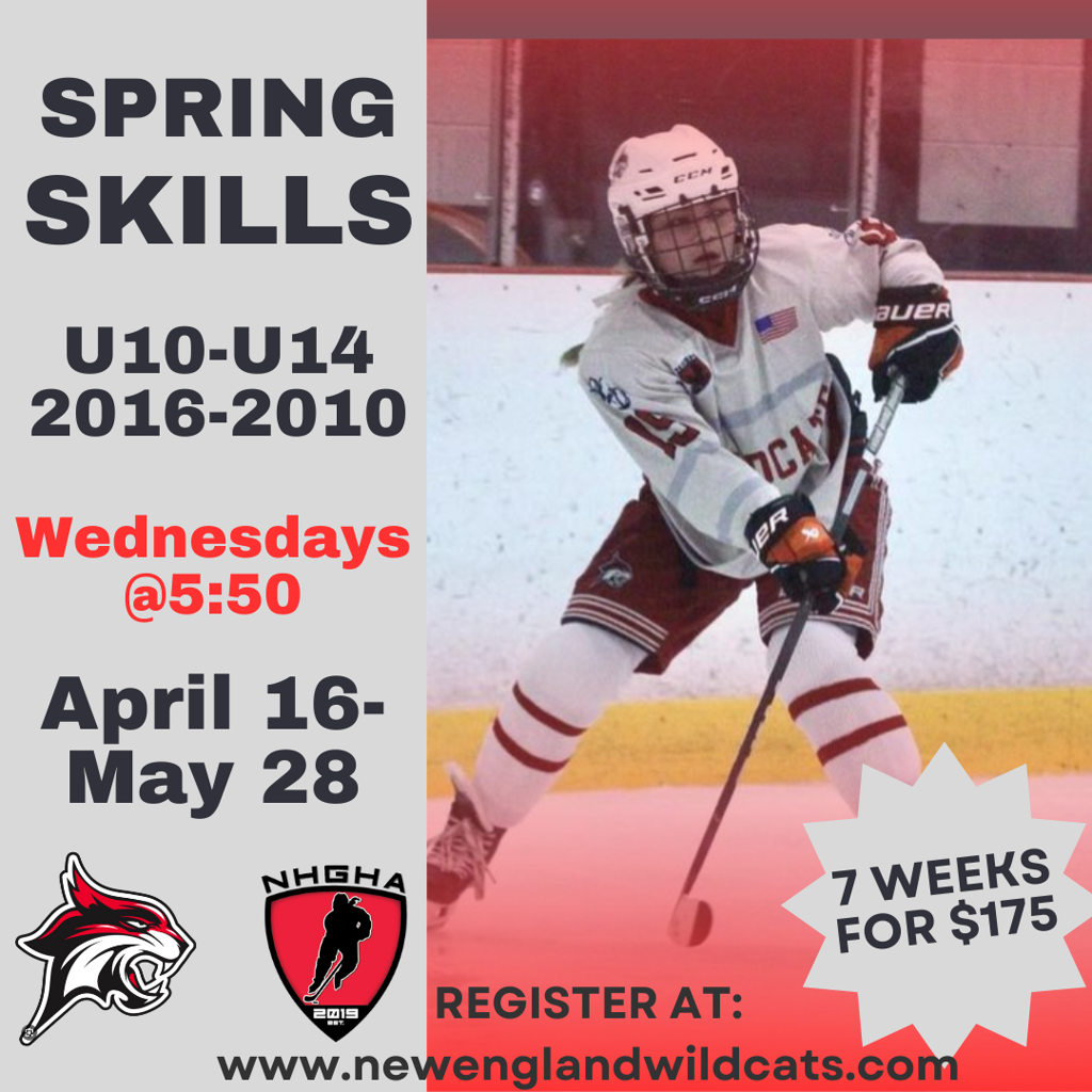 2025-spring-skills