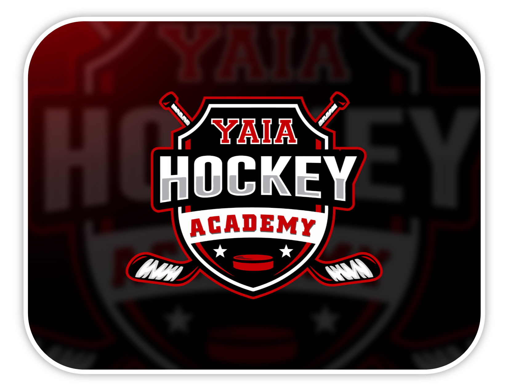 Hockey Academy