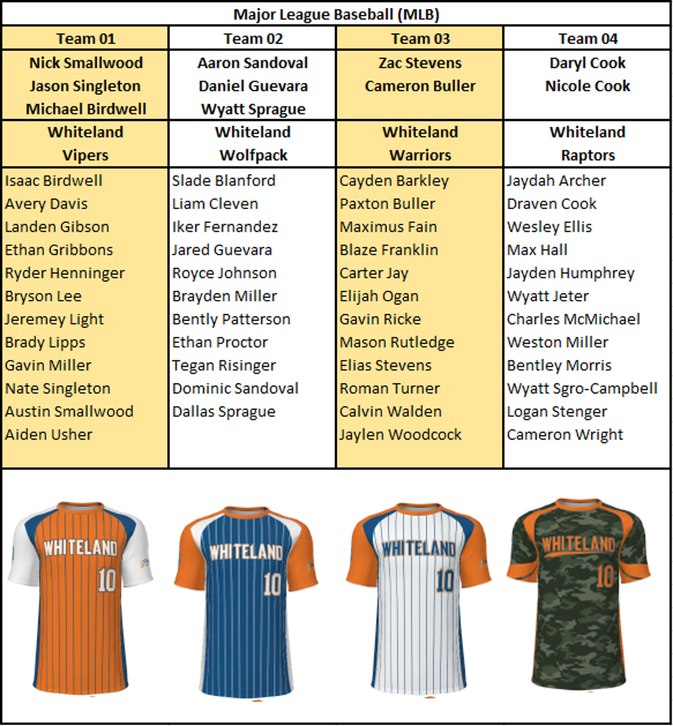 2023 WYB Teams and Divisions