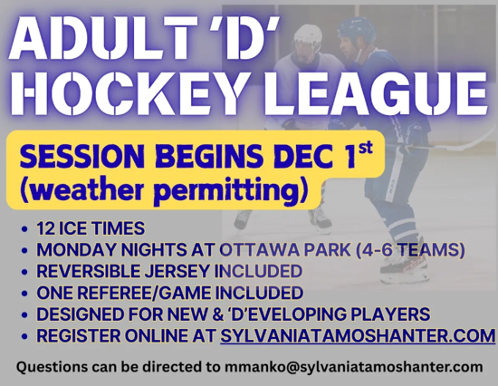 Adult D Hockey League