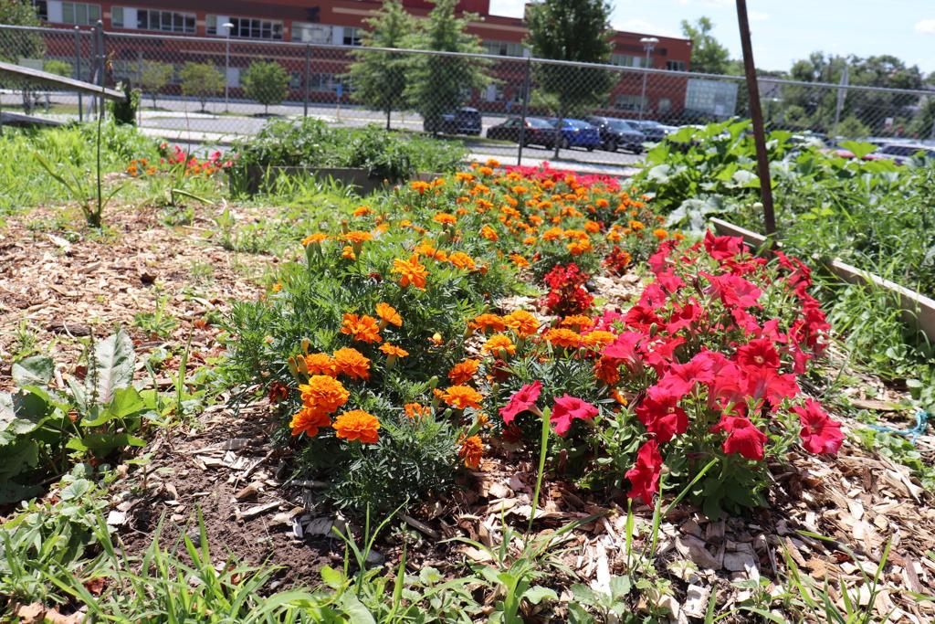 Summer Youth EmploymentNorthwest Regional Workforce Investment Board