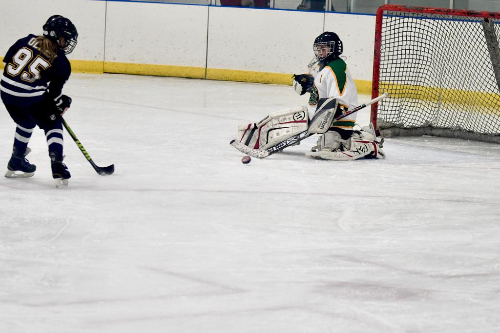  Photos Mounds View Irondale Youth Hockey Association