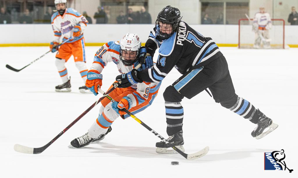 USA Hockey Declaration of Player Safety, Fair Play and Respect