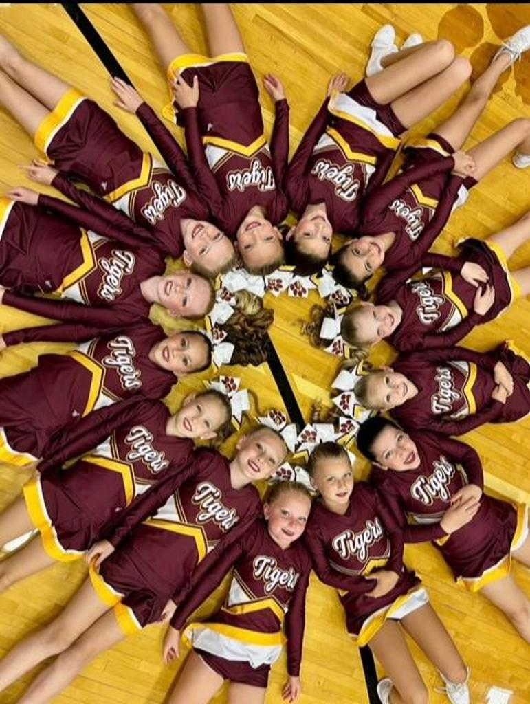Welcome to DSYSA Cheerleading!
