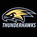 Thunderhawk logo small