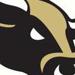 Bulls logo cropped small