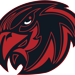 Team logo small