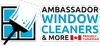 Sponsored by Ambassador Window Cleaners & More
