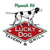 Sponsored by Lucky Dog Tavern & Grill