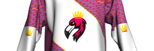 Away Team Logo