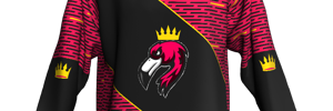 Away Team Logo