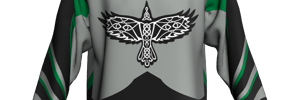Away Team Logo