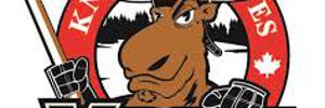 Home Team Logo