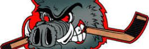 Away Team Logo