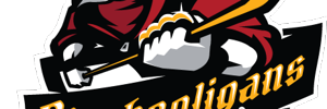 Home Team Logo