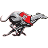 Duluth East logo