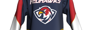 Home Team Logo