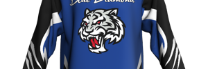 Away Team Logo