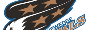 Away Team Logo