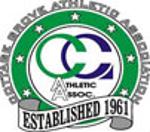 Cgaa Board