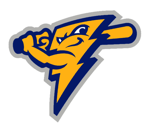 Pinellas County Youth Baseball