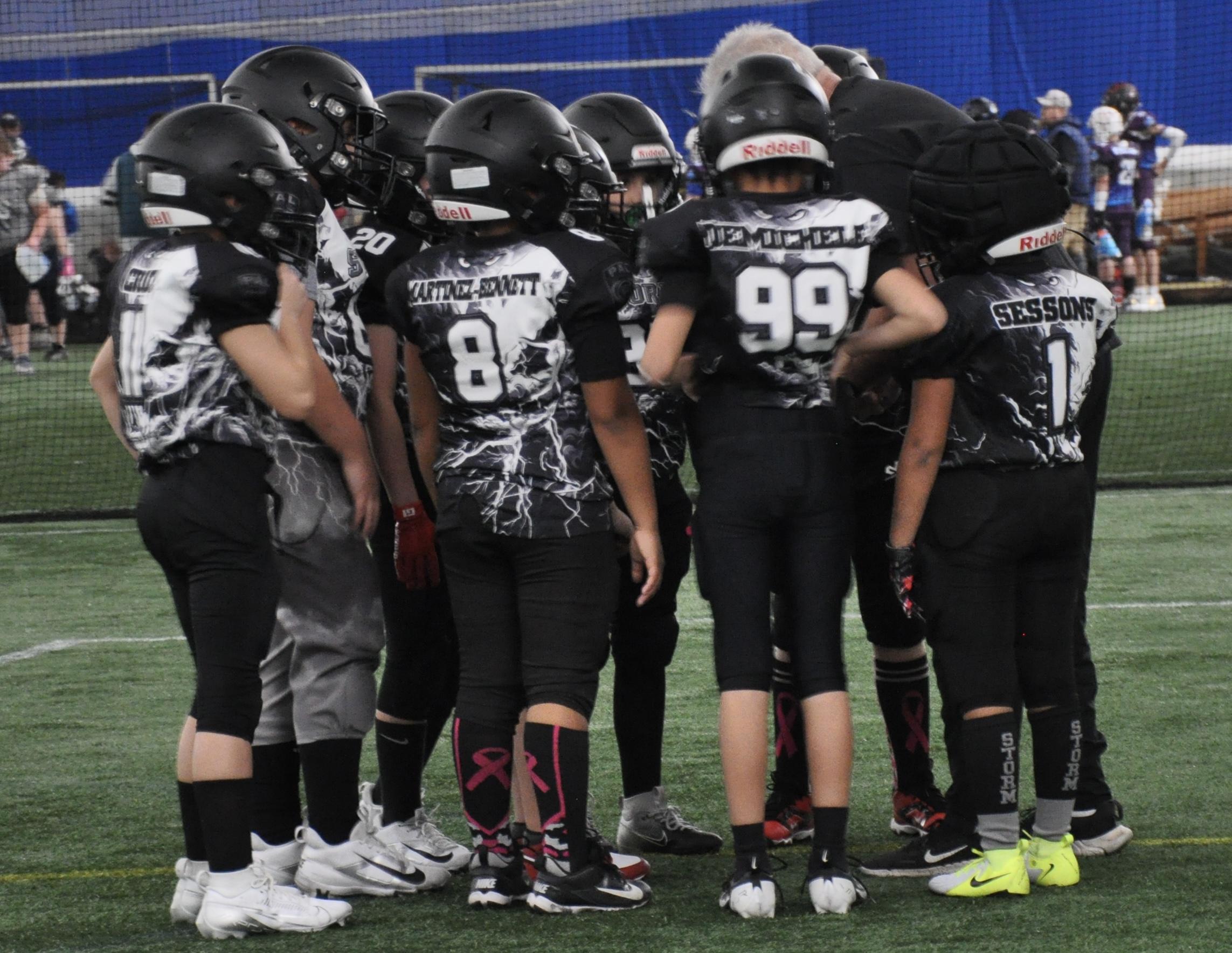 2024's 12U Champions